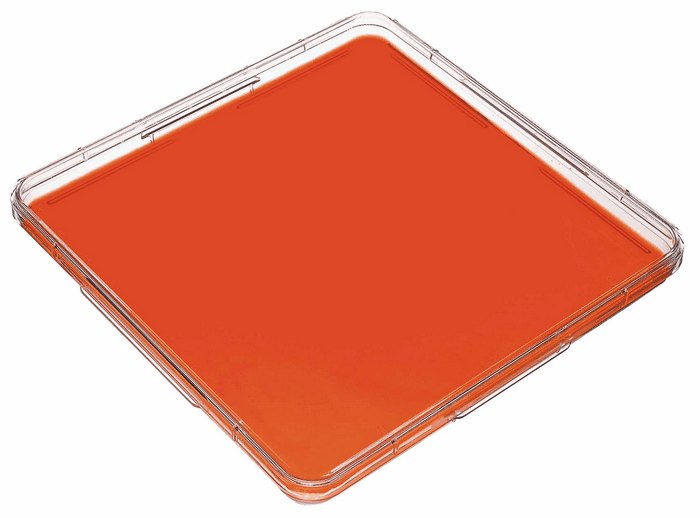 Corning 431110 square cell culture dish TC treated 245 mm x 245 mm 16