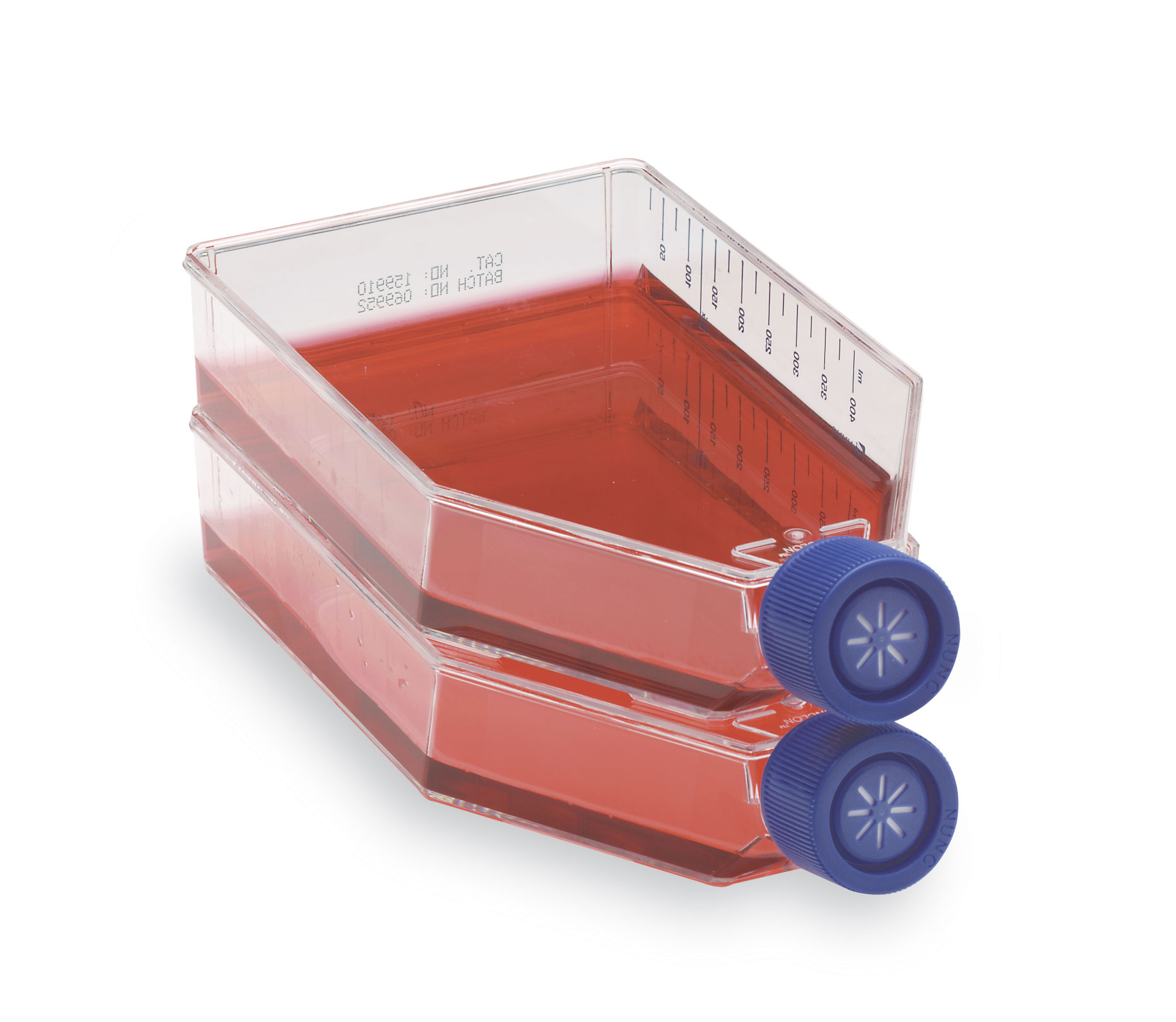 Thermo Scientific Nunc Cell Culture Treated EasYFlasks Angle 175cm2