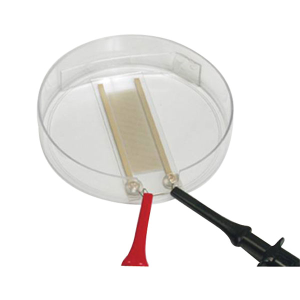 BTX Electroporation Meander Fusion Chamber 4 Pk from ColeParmer