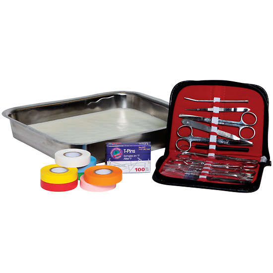 Dissection Kit Tray Dissecting Tools Pins and Labeling Tape from Cole