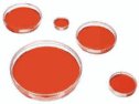 Corning ultra low attachment surface culture dish, round dish, 60 mm dia