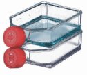 CORNING CELL CULTURE FLASK, 175 CM2, ANGLED  NECK, PLUG CAP, STERILE