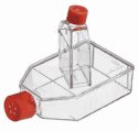 CORNING &reg; Cell Culture Flasks