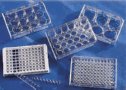 Cell Culture Products