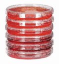 SI-06139-00 Sterile Petri Dishes; 100 mm dia x 15 mm H; 500/box