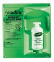 Fend-all Personal Eyewash Wall Stations, 16oz single station