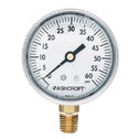 Ashcroft Commercial Gauge with Bottom Connection, 600 psi, 2-1/2" Dial