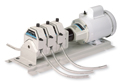 I/P&reg; Three-Channel Fixed-Speed Pump System
