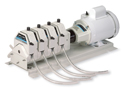 I/P&reg; Four-Channel Fixed-Speed Pump System
