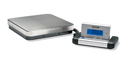 Acculab SVI-Series Bench Scale, 10 kg x 1 g (SVI-10A)