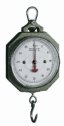 EW-11551-82 Fairbanks Hanging Scale, 100 lb x 7 oz.  Representative Photo Only