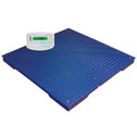 Adam PT Floor Scale w/GKaM Indicator, 5000lb/3000kg Capacity, 1lb/500g (PT312-5GKaM -115V)