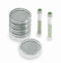 Yeast & Mold Swab Kit, 30 tests (YO-14019-20)