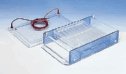 EW-28562-00 Cole-Parmer<small><sup>&reg;</sup></small> High-Throughput Horizontal Gel System
