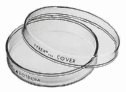 Representative photo only Pyrex Brand 3160 petri dish 150 x 20 mm pack of 12