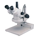 Trinocular Stereo Microscopes