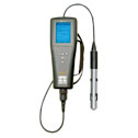 YSI Pro20 Dissolved Oxygen Meter