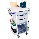 Representative photo only Rolling Organizer Cart