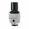 Representative photo only Miniature Regulator 0 To 10 PSIG 1 4 NPT F 