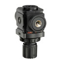 EW-75300-46 Mini Air Regulator, Max 59 SCFM, Pressure range of 0 - 140 PSIG, 1/4" NPT(F) connection