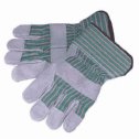 Cole Gloves
