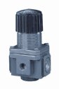 Regulator 0 to 120 Psig; 1/4