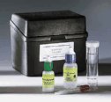 EW-99532-06 Liquid Sanitizer Strength Verification Kits