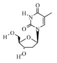 Thymidine