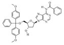 5'-O-Dimethoxytrityl-N-benzoyl-desoxyadenosine 97% (250mg)
