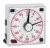 Analog Interval Timer