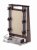 Thermo Scientific Owl Nucleic Acid Sequencing System