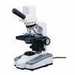 Cell Imaging Products