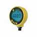 Druck DPI 104 IS Pressure Gauge