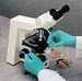 BEST Derma Thin Latex Gloves