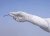 Safeskin  Sterile Critical Nitrile Gloves